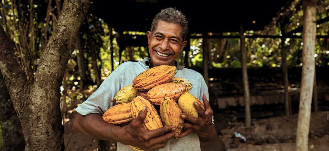 The Health Benefits of Cacao - TKS
